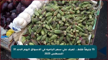 15 جنيهاً فقط.. تعرف على سعر البامية في الأسواق اليوم الأحد 31 أغسطس 2025